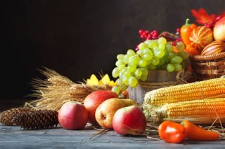 Harvest Festival Services 2025